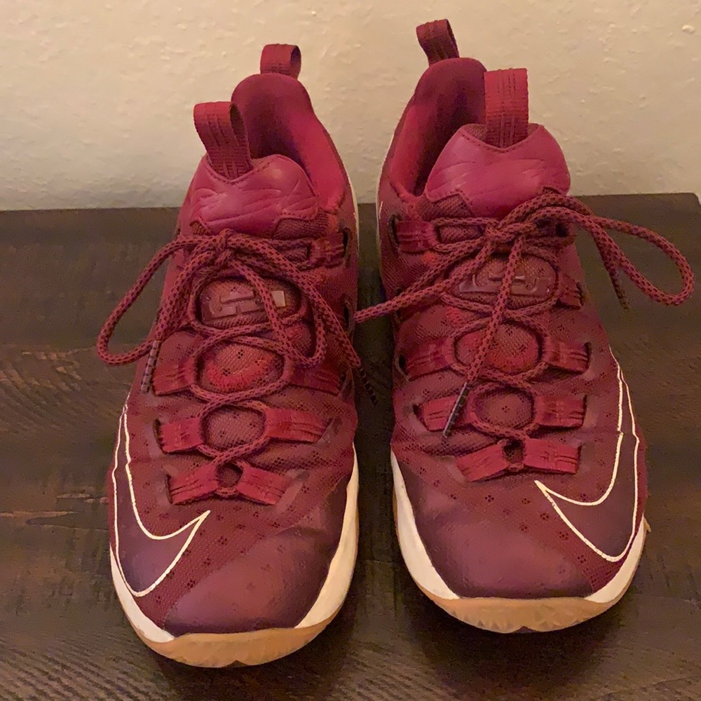 Lebron James Nike Sneakers